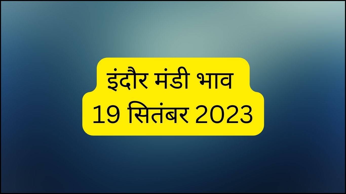 Indore Mandi Bhav 19 September 2023: त्योहारी सीजन पर बढ़ी चना की मांग, जानें सभी फसलों के ताजा बोली भाव