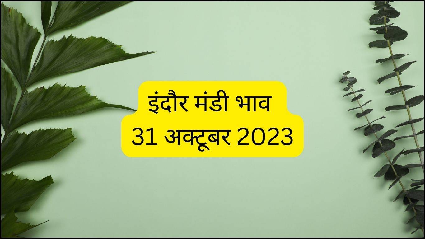 Indore Mandi Bhav 31 October 2023: उड़द के दाम में हुई तेजी, जानें क्या रहा है इंदौर मंडी भाव