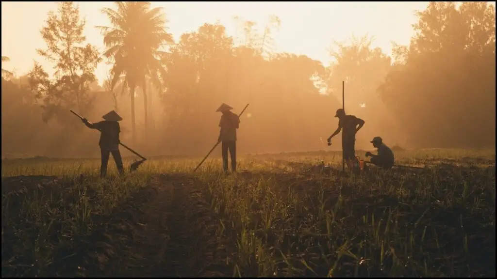 PM Kisan Yojana : पीएम किसान योजना का पैसा वापस ले रही है सरकार, सामने आई ये वजह