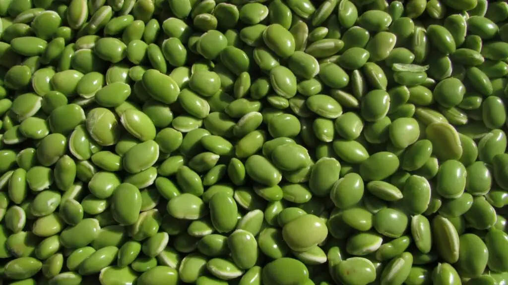 Pulses Rate Hike: दालों के दाम में आई तेजी, मानसून ने बिगाड़ा मंडियों का माहौल