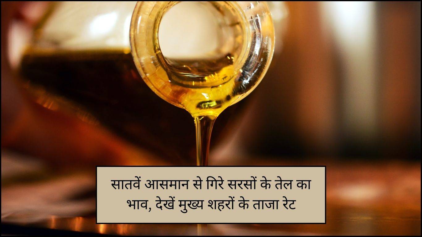 Mustard Oil Price 13 September 2023: सातवें आसमान से गिरे सरसों के तेल का भाव, देखें मुख्य शहरों के ताजा रेट