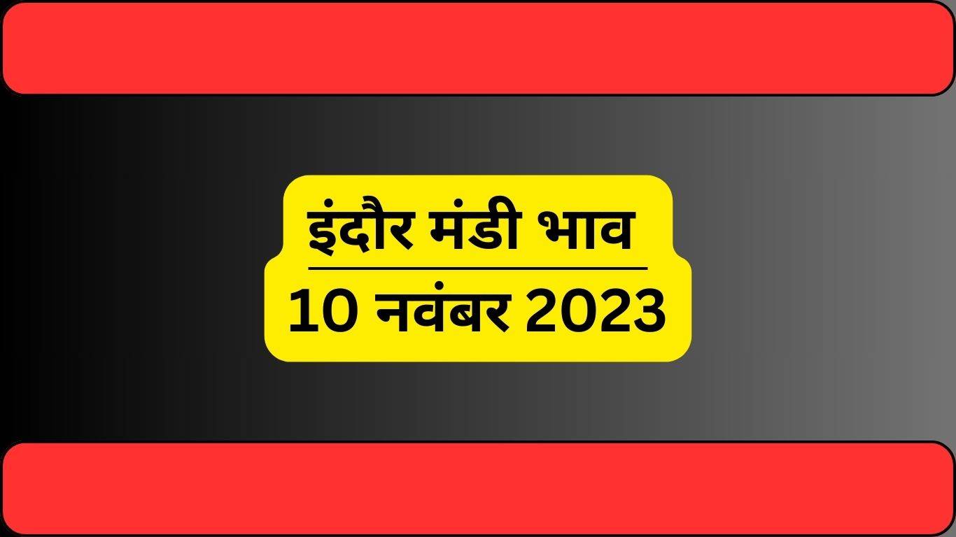 Indore Mandi Bhav 10 November 2023: त्योहारी सीजन पर बढ़ें फसलों के दाम, स्टॉक में भी हुई वृद्धि