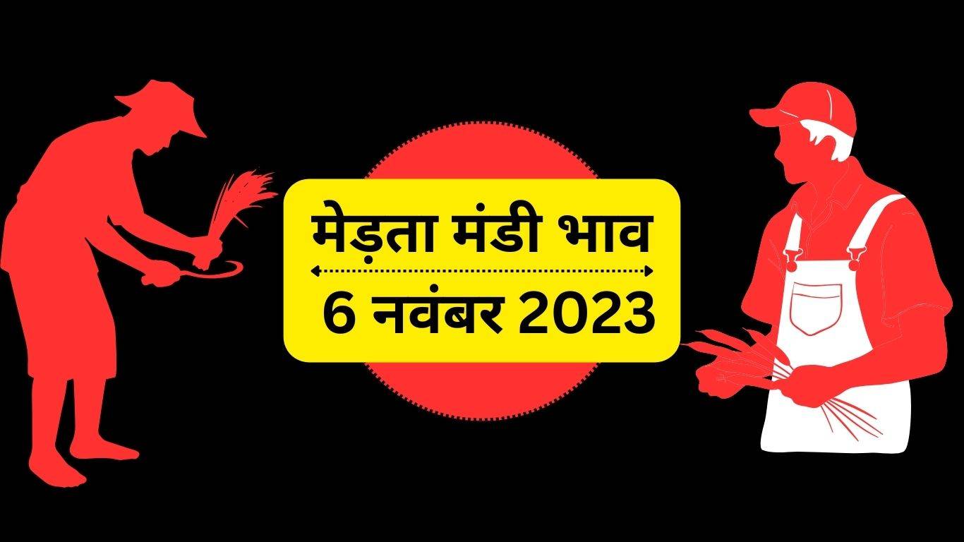 Merta Mandi bhav 6 November 2023: मेड़ता मंडी भाव हुआ जारी, यहां देखें बदले हुए दाम