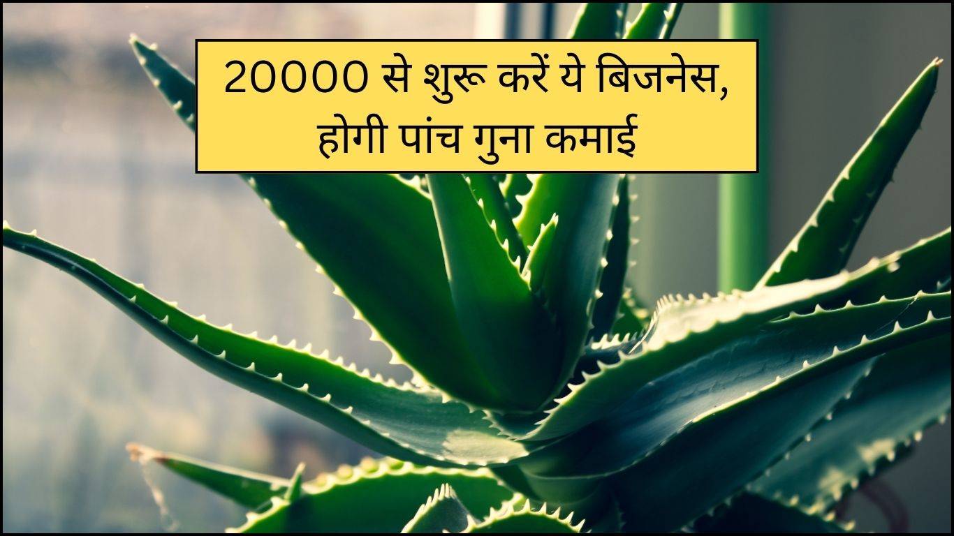 Business Ideas 2024: 20000 से शुरू करें ये बिजनेस, होगी पांच गुना कमाई