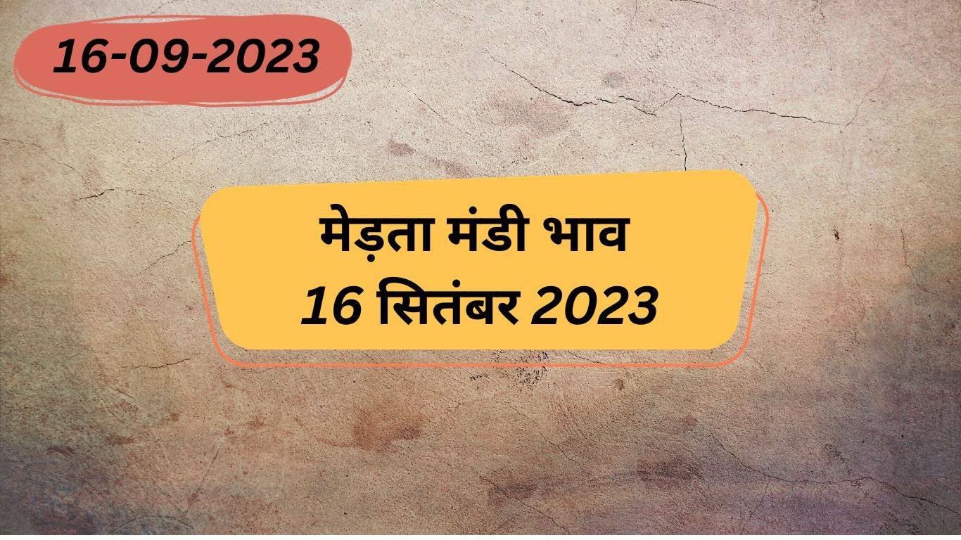 Merta Mandi Bhav 16 September 2023: राजस्थान की मेड़ता मंडी भाव हुआ जारी, देखें ग्वार, मूंग, मोठ, सरसों समेत सभी फसलों के बोली भाव