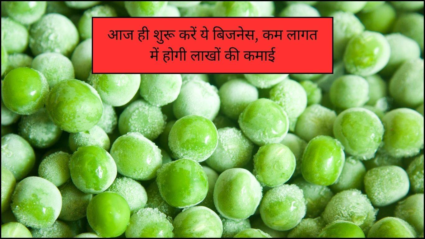 Frozen Peas Business Idea: आज ही शुरू करें ये बिजनेस, कम लागत में होगी लाखों की कमाई