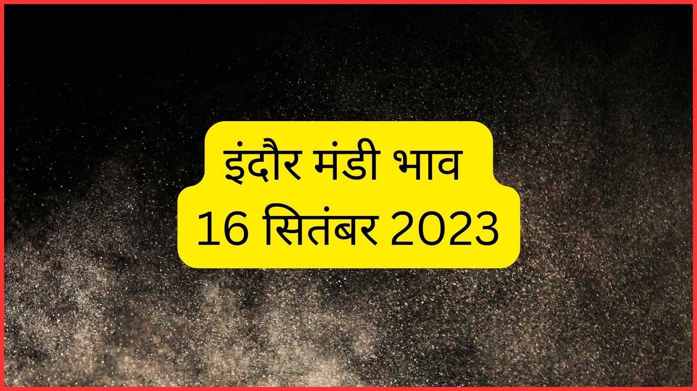 Indore Mandi Bhav 16 September 2023: गेंहू के दाम में एक बार फिर तेजी, देखें एमपी का इंदौर मंडी भाव