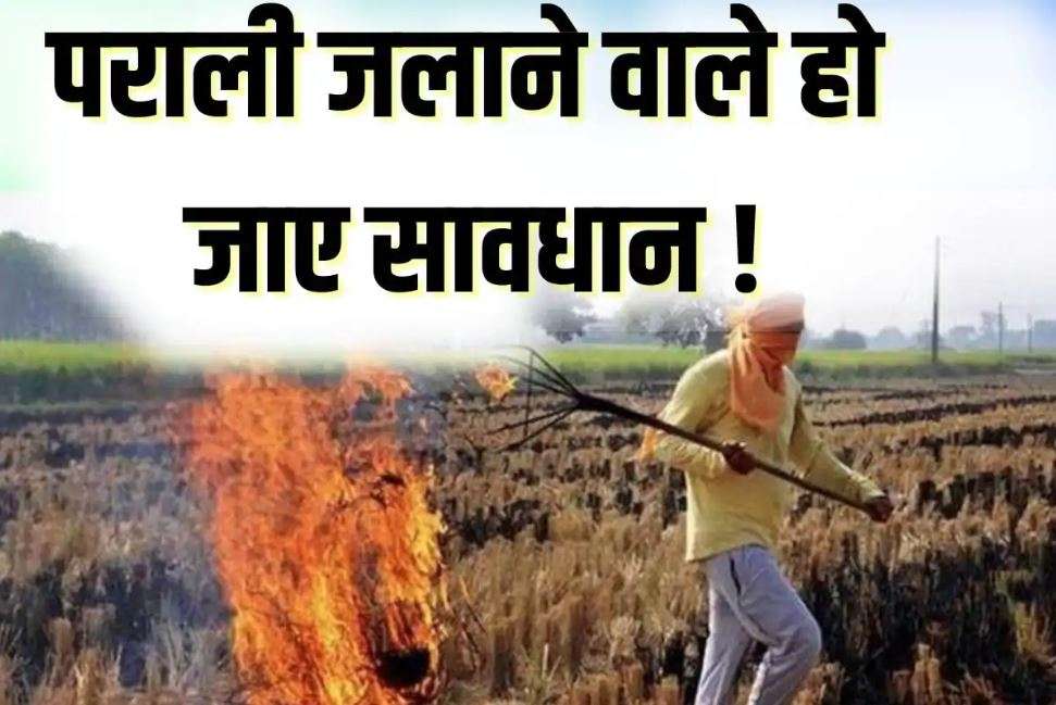 Agriculture News: धान का कचरा जलाने वाले किसानों को नहीं मिलेंगे पीएम किसान योजना के पैसे? देना होगा जुर्माना