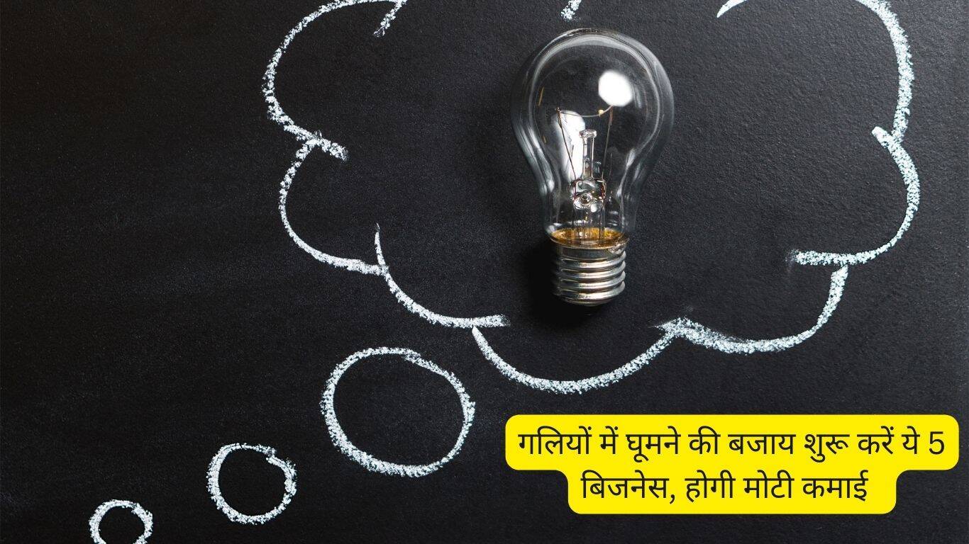 Business Idea 2024: गलियों में घूमने की बजाय शुरू करें ये 5 बिजनेस, होगी मोटी कमाई  