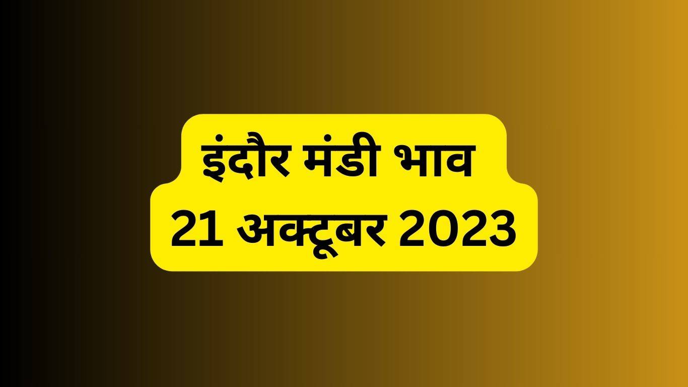 Indore Mandi Bhav 21 October 2023: इंदौर मंडी में शुरू हुई मक्का की आवक, जानें क्या है आज के ताजा रेट्स