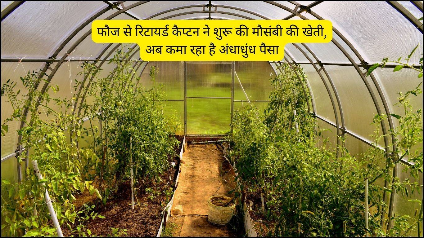 Agriculture Success Story: फौज से रिटायर्ड कैप्टन ने शुरू की मौसंबी की खेती, अब कमा रहा है अंधाधुंध पैसा