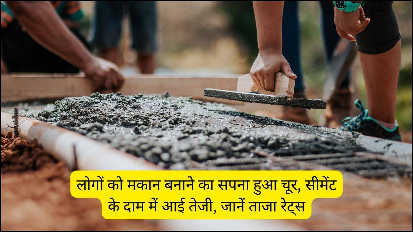 Cement Ka Bhav: लोगों को मकान बनाने का सपना हुआ चूर, सीमेंट के दाम में आई तेजी, जानें ताजा रेट्स