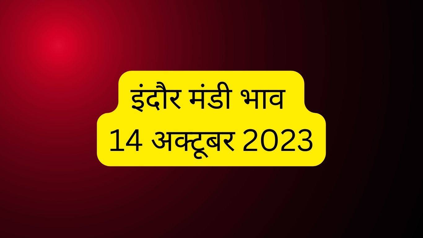 Indore Mandi Bhav 14 October 2023: तुअर के दाम में आई तेजी तो चना के गिरे दाम, जानें आज का इंदौर भाव