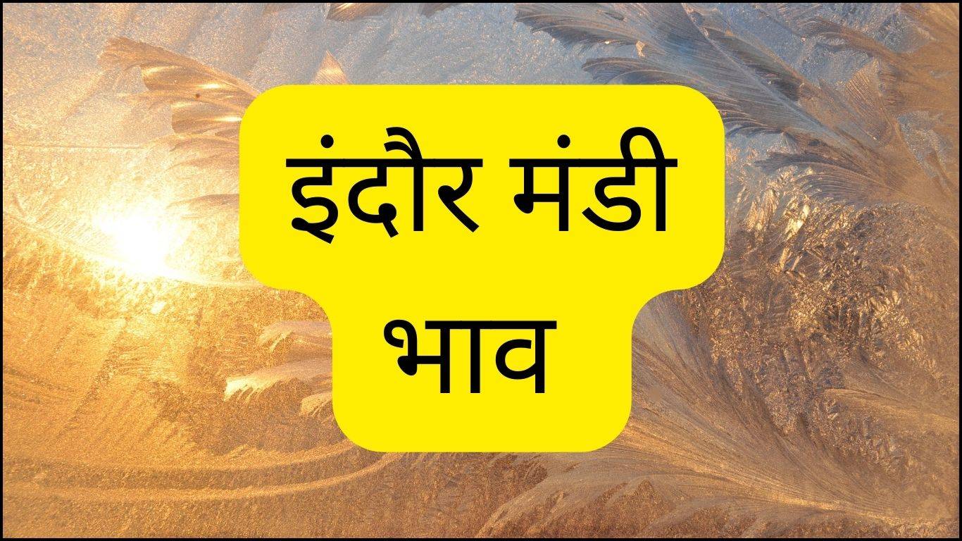 Indore Mandi Bhav 10 October 2023: मूंग के दाम में आई गिरावट तो त्योहारी सीजन पर बढ़े चना के दाम