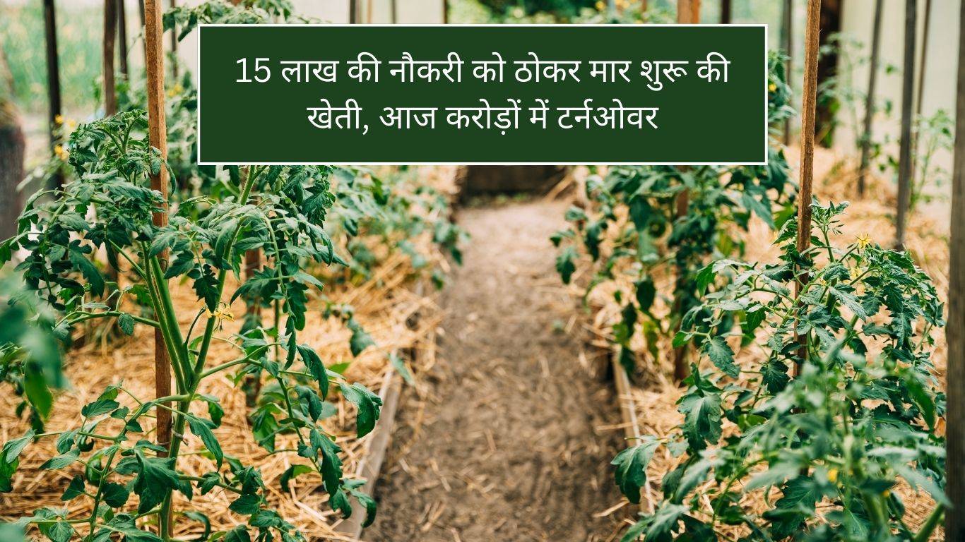 Agriculture Success Story: 15 लाख की नौकरी को ठोकर मार शुरू की खेती, आज करोड़ों में टर्नओवर