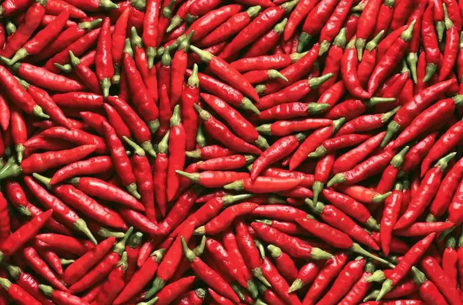 hot chillis